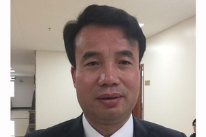 Ông Nguyễn Thế Mạnh, Phó tổng cục trưởng Tổng cục Thuế.