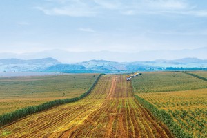 BAC A BANK phát triển bền vững với tín dụng xanh