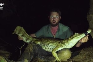 Phát hiện cá sấu tuyệt chủng gần 40 năm