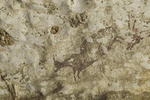 Một góc bức tranh vẽ chuyến săn thú trong hang Leang Bulu' Sipong 4. Ảnh: UPI.