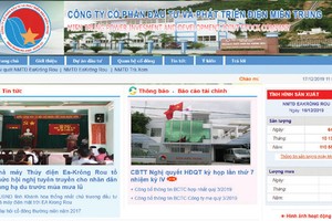 Điện miền Trung (SEB) đặt kế hoạch đi lùi trong năm 2020