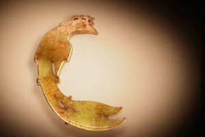 Phượng hoàng ngọc bích trong mộ vương hậu nhà Thương