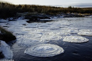 Hy hữu: Dòng sông bị phủ kín bởi “đĩa băng” ở Scotland