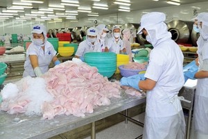 Có hay không việc kéo, xả cổ phiếu HVG?