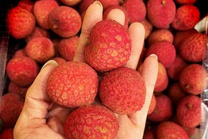 Quả vải nhập khẩu từ Australia được bán ở Hà Nội. Ảnh: OzFresh.