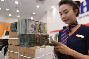 Việc NHNN đẩy mạnh mua vào ngoại tệ và tăng cung tiền ra thị trường giúp thanh khoản dồi dào.