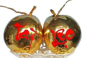 Dừa mạ vàng ở xưởng nhà ông Nguyên. Ảnh: NVCC.