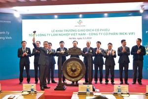 350 triệu cổ phiếu Vinafor (VIF) chào sàn Hà Nội 