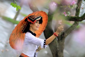 Dịu dàng mùa hoa ban tháng 2 trên đường phố Thủ đô