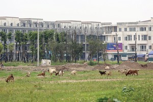 Nhìn lại rủi ro nhận thế chấp tài sản hình thành trong tương lai 