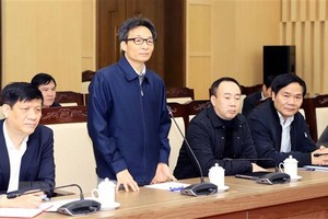 Phó Thủ tướng Vũ Đức Đam phát biểu chỉ đạo. (Ảnh: Hoàng Hùng/TTXVN.