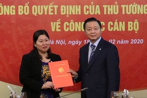 Bộ trưởng Trần Hồng Hà trao quyết định cho bà Trần Thị Phương Hoa.