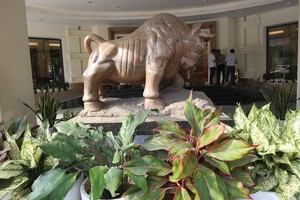 Cửa gọi vốn 2020 chỉ rộng với doanh nghiệp minh bạch