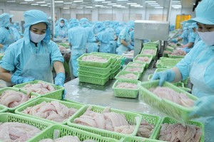 Doanh nghiệp thuỷ sản tìm đường bù đắp thị trường Trung Quốc