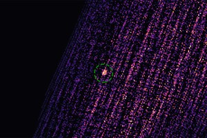 Đợt bùng phát tia X từ hố đen MAXI J0637-430 do thiết bị REXIS ghi lại. Ảnh: NASA.