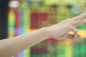 Nhận diện “lái” và “tạo lập“ thị trường