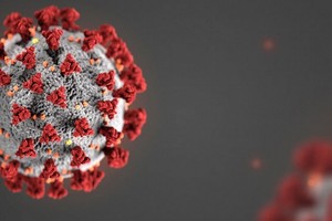 Đồ họa mô phỏng nCoV. Ảnh: CDC.