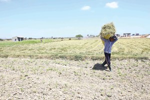 Hạn hán tạo cơ hội cho doanh nghiệp điện chuyển mình