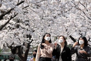 Người dân đeo khẩu trang phòng dịch COVID-19 tại Daegu, Hàn Quốc ngày 24/3 vừa qua. (Ảnh: THX/TTXVN).