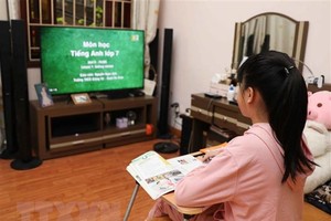 Học sinh học trực tuyến. (Ảnh minh họa. Thanh Tùng/TTXVN).