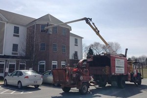 Vướng lệnh cách ly anh chàng lái xe cần cẩu đến thăm mẹ