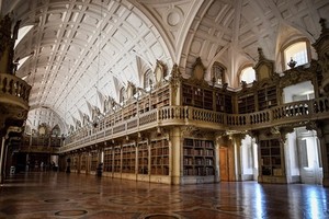 Đàn dơi bảo vệ sách cổ trong thư viện 300 năm tuổi