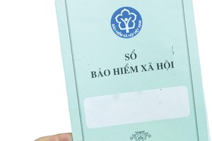 Người lao động nếu ngừng đóng bảo hiểm xã hội có thể bảo lưu thời gian đóng để khi có điều kiện thì tiếp tục tham gia .