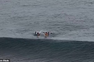 Hình ảnh con cá mập vẫn lượn lờ xung quanh khi 2 người đang chèo vào bờ.