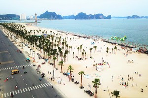 Thành phố Hạ Long đang không ngừng phát triển, đặc biệt khu vực Bãi Cháy đã mang diện mạo khác.