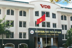 Đã có Ngân hàng Phát triển Việt Nam sử dụng công cụ bảo lãnh tín dụng để bảo lãnh cho các ngân hàng khi cho vay các doanh nghiệp nhỏ.