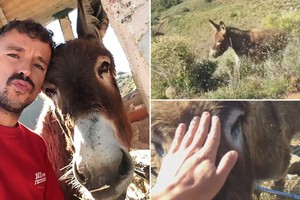 Chàng trai xúc động đến phát khóc khi đoàn tụ với thú cưng sau chuỗi ngày xa cách vì Covid-19