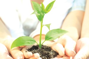 “Ma mới” và “ma cũ”