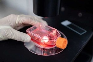 Kiểm tra các loại vắcxin thử nghiệm chữa dịch bệnh COVID-19 trong phòng thí nghiệm. (Nguồn: AFP).