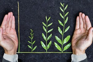 Nhiều quỹ đầu tư chốt lời