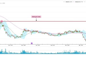 Giải mã đà tăng phi mã của cổ phiếu Tập đoàn Hoa Sen (HSG)