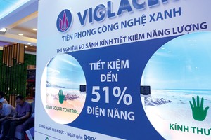 Thoái vốn nhà nước tại Viglacera: Phương án nào sẽ được chọn?