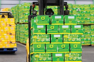 Thế nào là một CEO chuyên nghiệp?