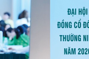 Nhiều doanh nghiệp lỡ hẹn đại hội trước tháng 7 