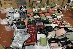 Các mặt hàng tại kho này đều là: giầy dép, kính mắt, đồng hồ, hàng tiêu dùng, mỹ phẩm .... nhập lậu hoặc có dấu hiệu giả mạo các nhãn hiệu nổi tiếng thế giới như LV, Gucci, Chanel, Adidas...