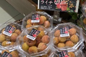 Ngày 15/7 sẽ diễn ra tọa đàm “Câu chuyện thành công của vải thiều Việt Nam sang Nhật Bản“