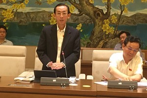 Đại biểu Trần Hoàng Ngân, uỷ viên Uỷ ban Kinh tế của Quốc hội phát biểu tại cuộc làm việc.