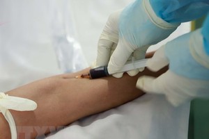 (Ảnh: TTXVN/Vietnam+).