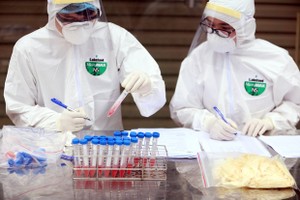 Ảnh minh hoạ. (Ảnh: TTXVN).