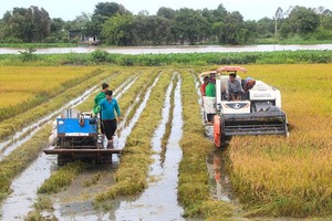 6 tháng đầu năm Tập đoàn Lộc Trời (LTG) báo lãi sau thuế 116 tỷ đồng