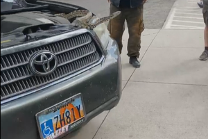 Rắn dài hơn 2 m trốn trong ô tô gây náo loạn cả công viên