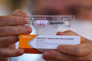 Vaccine ngừa Covid-19 của Sinovac. Ảnh: Reuters.