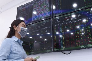 Quỹ đầu tư chọn gì tại Việt Nam?