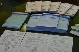 Ảnh minh họa. (Nguồn: TTXVN)