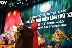 Bí thư Tỉnh ủy Hà Nam Lê Thị Thủy.