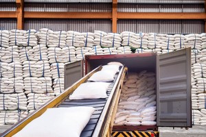 Mã cổ phiếu mía đường có tiềm năng tăng trưởng trong dài hạn.